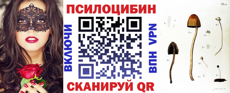Купить  Ивдель  Псилоцибиновые грибы Cubensis 